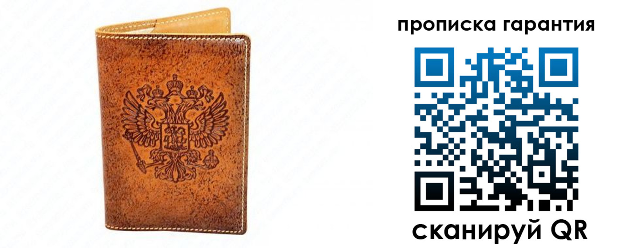 прописка для школы в Фрязино